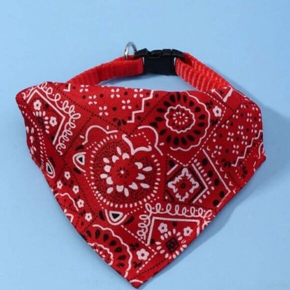 PET SCARF AND COLLAR  - Picture 4 of 12